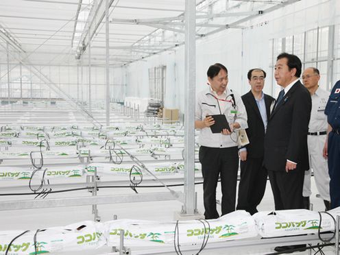 Photograph of the Prime Minister observing the building for growing tomatoes within the large-scale horticultural technology inspection and research facility